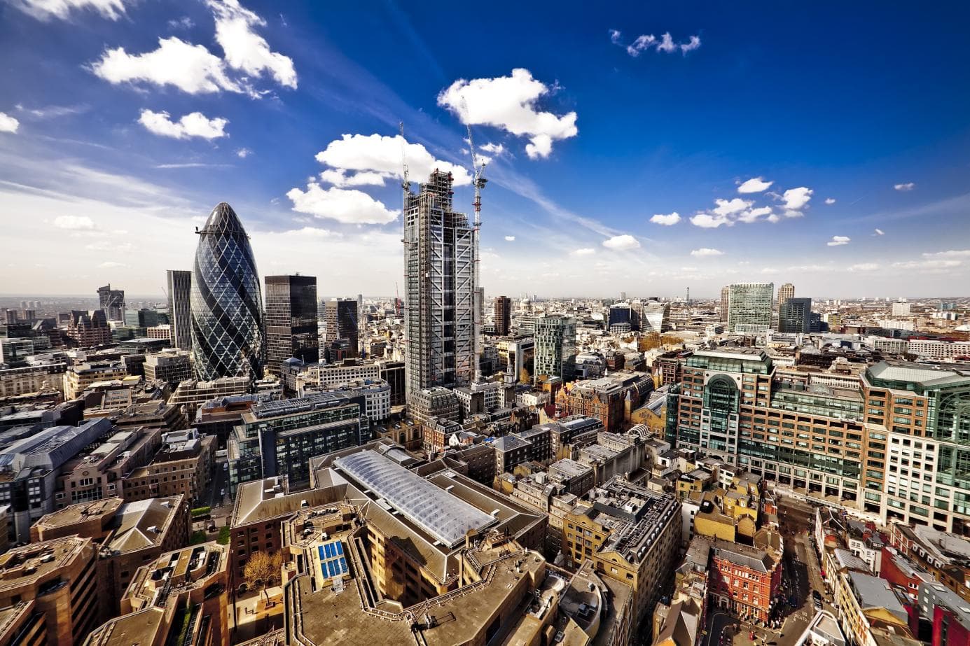 Portfolio and Asset Management
